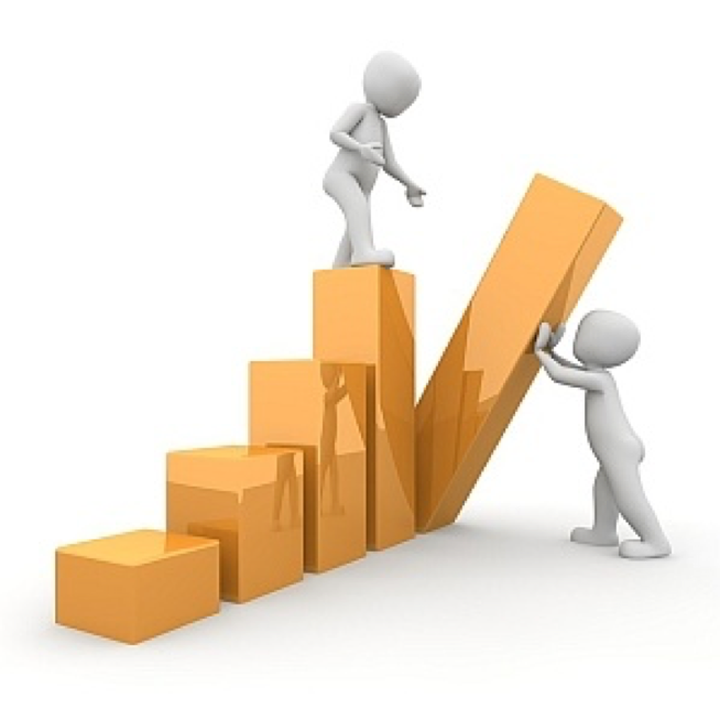 Meer winst maken. Hoe doe je dat?